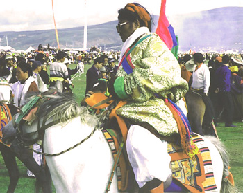 Rider