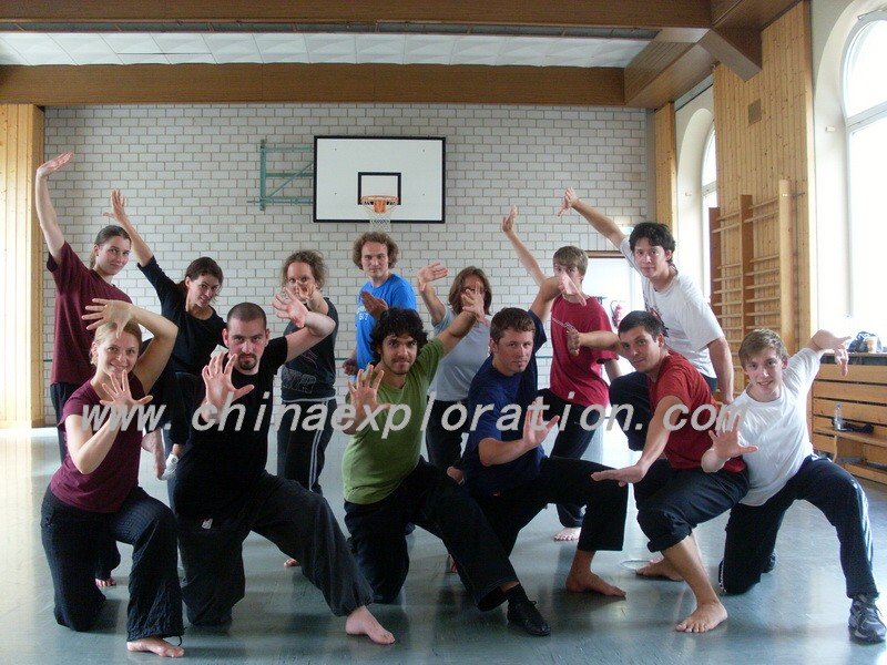 kungfu learning