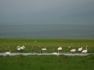 Bayinbuluke National Nature Reserve