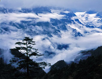 shenongjia national park