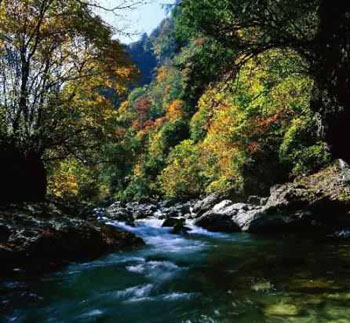 shenongjia national park