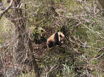 changqing-nature-reserve