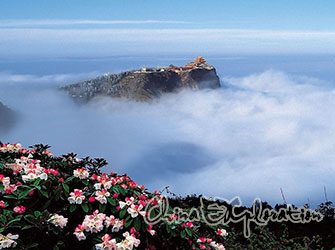 emei-cloudy-sea