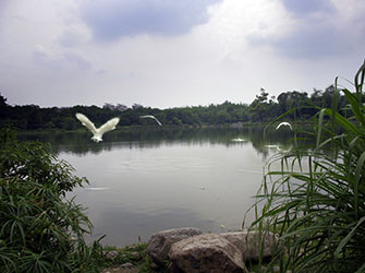 huanhuaxi park