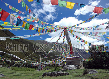 Prayer Flag