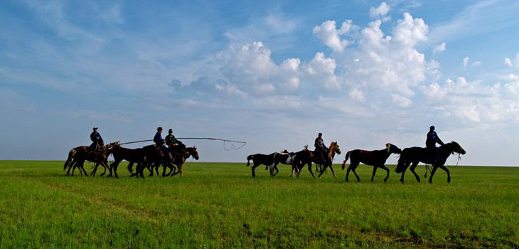 Gegentala Grassland