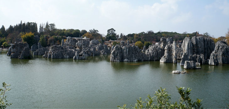 Stone Forest