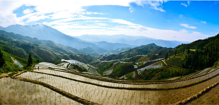 Longji Terrace