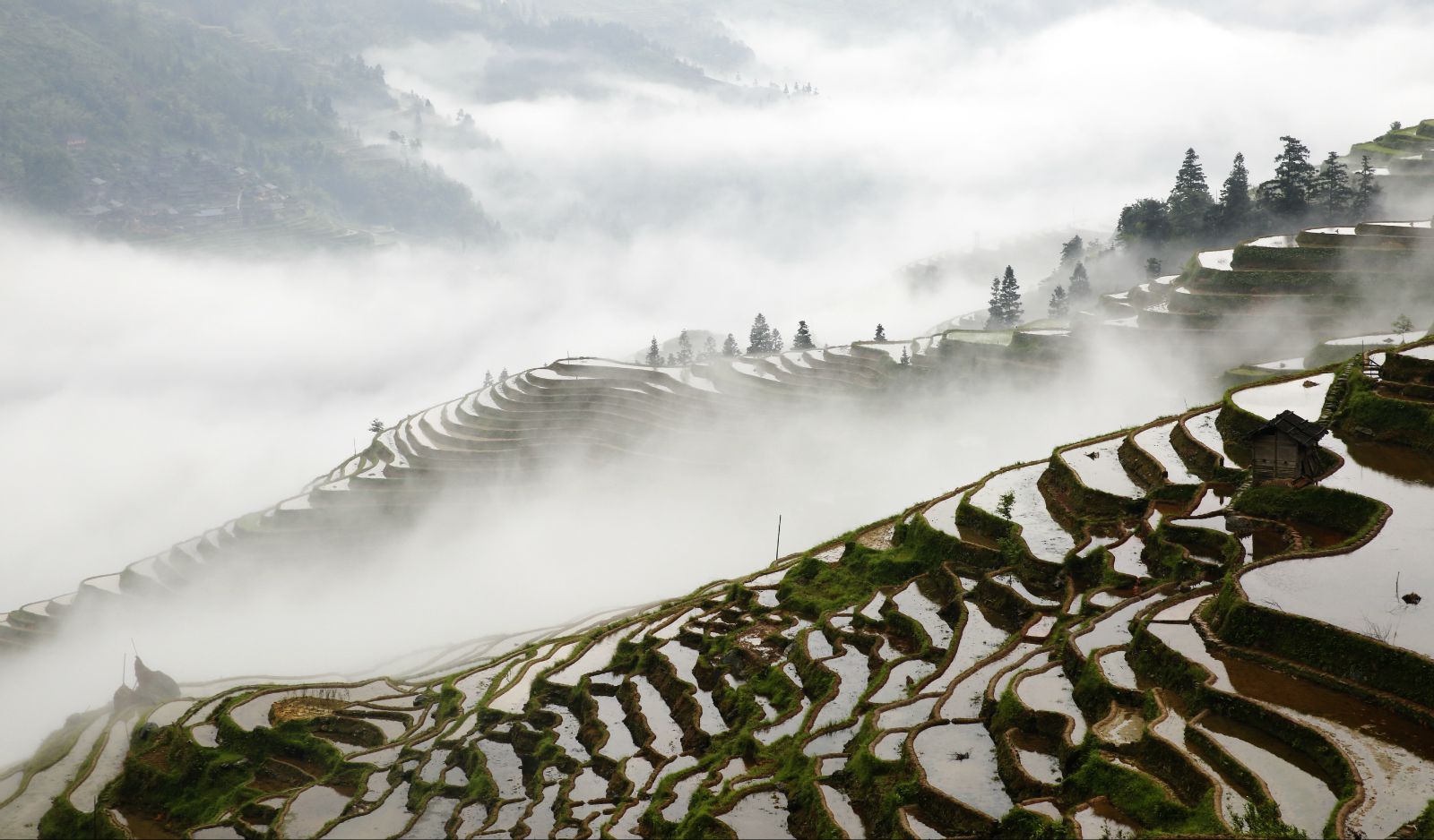 Four days tour in east Guizhou