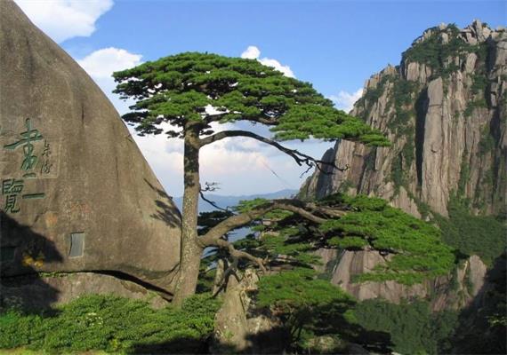 12 Days Travel to Top Natural Attractions in China