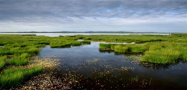 Flower lake