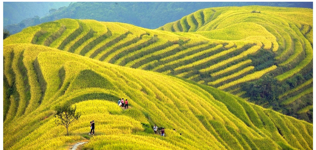 Longji Terrace