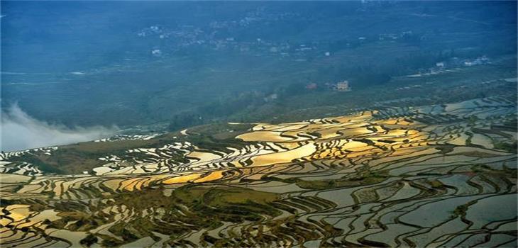 Yuanyang Rice Terrace