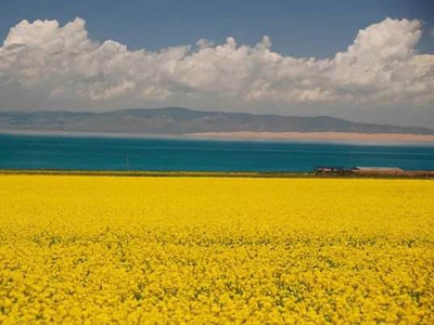 Qinghai Lake