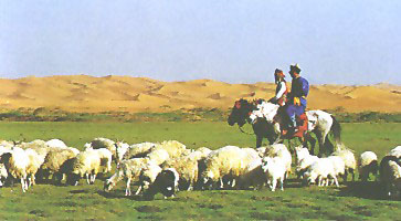 The Hulunbuir Grasslands 