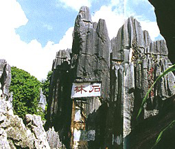 stone forest