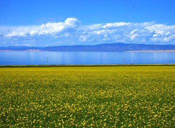 qinghaihu lake