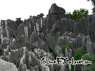 Stone-Forest-Kunming