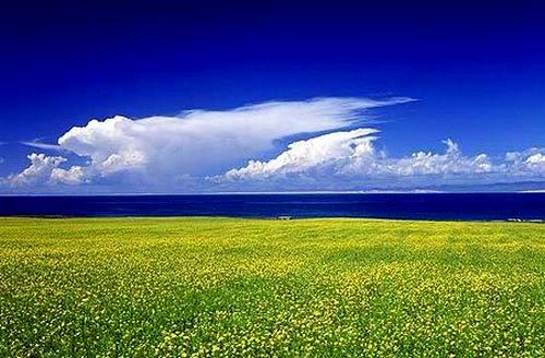 hongyuan grassland