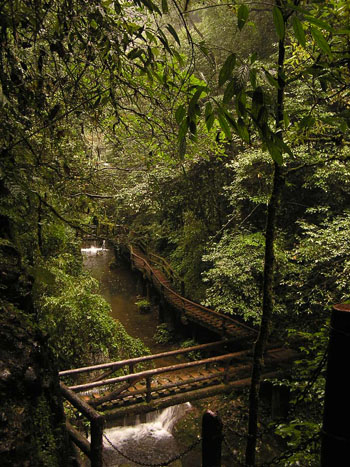 Mt. Qingchengshan 