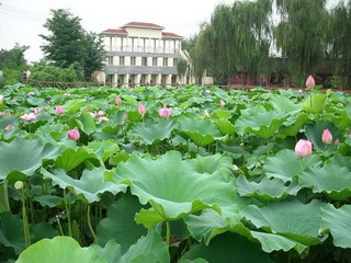 Chengdu Flower village