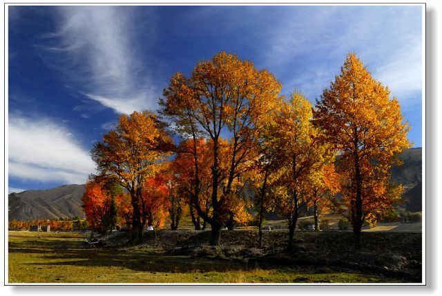 xinduqiao scenery