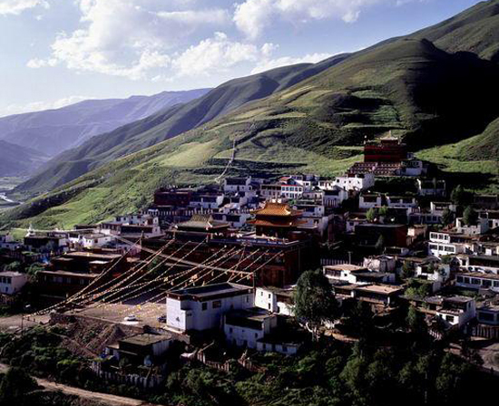 Wuming Buddhist Institution