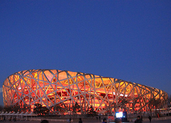 bird's nest stadium