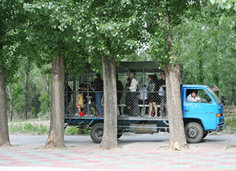 beijign wildlife zoo park