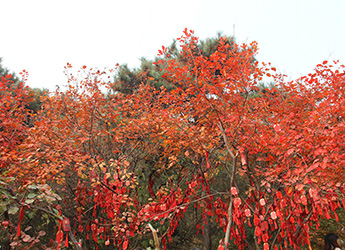 xiangshan park