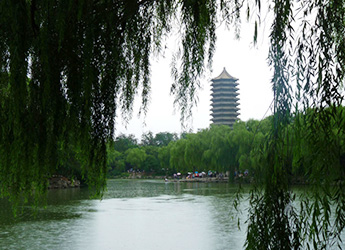 beijing university