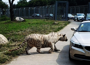 Qingling Wildlife Zoo