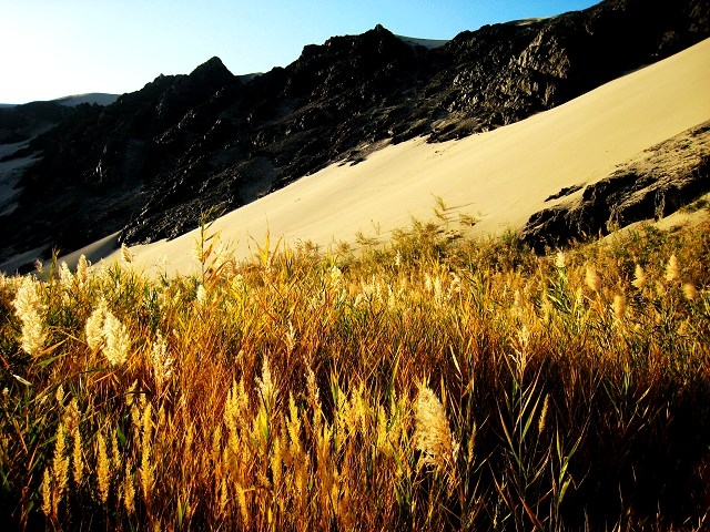 Taklamakan desert