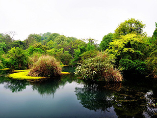 Huaxi Park