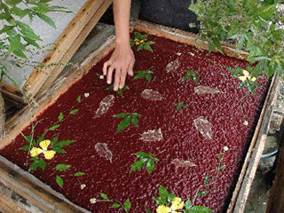 Shiqiao village - traditional paper making