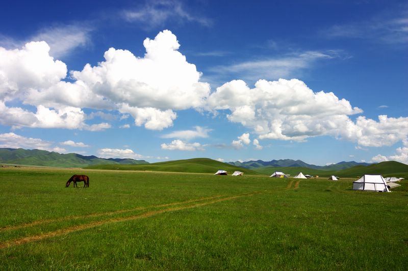 xiahe sangke grassland