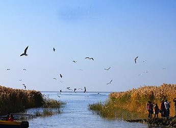 Juyan Lake