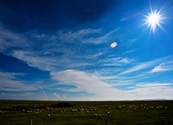 Sangke Grassland