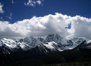 White Horse Snow Mountain 