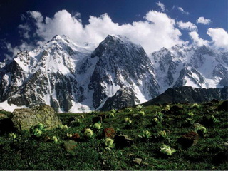 Bogeda Peak National Nature Reserve