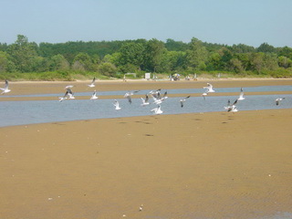 Beidaihe Wetland Park 