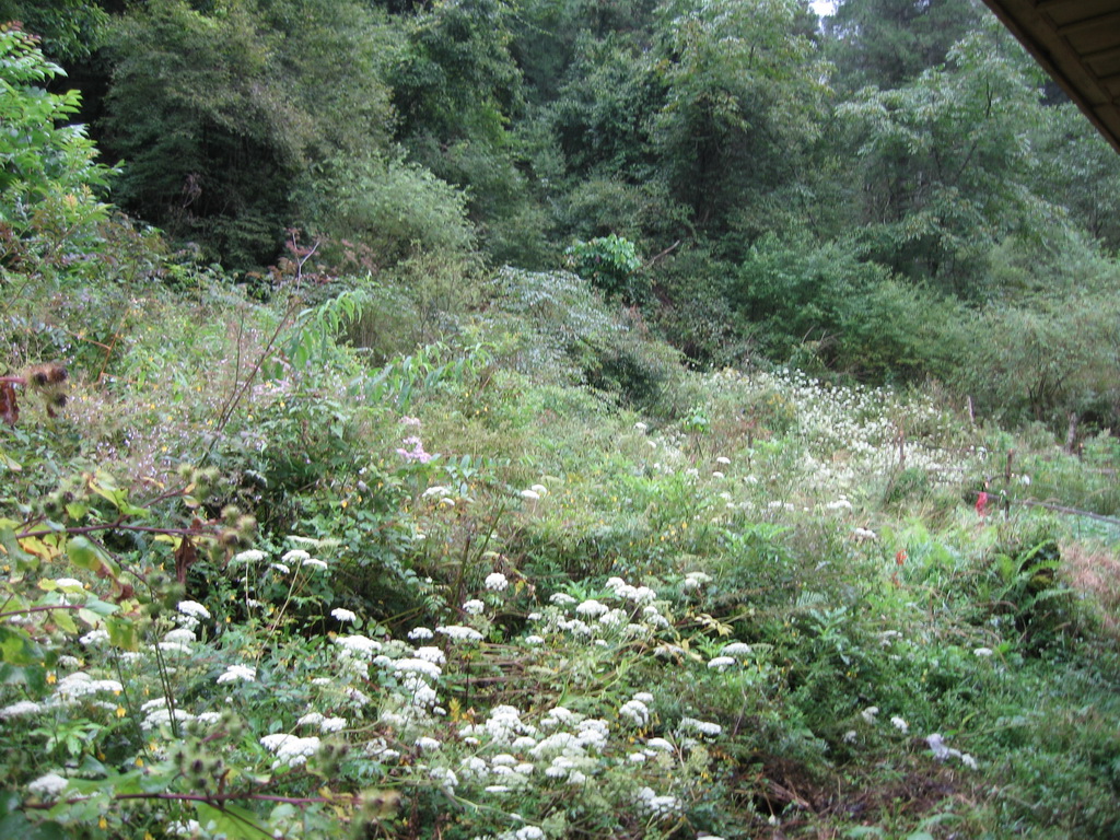 Baihe Nature Reserve