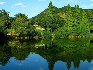 Chongzuo White-headed Langur Ecological Park