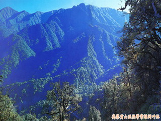 gaoligongshan nature reserve