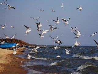 Khanka Lake