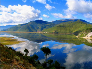 Napa Lake Nature Reserve