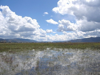 Napa Lake
