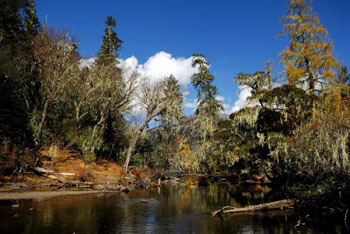 wolong panda nature reserve