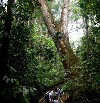 xishuangbanna national park