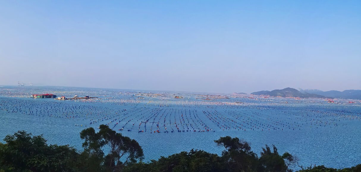 Summer Palace